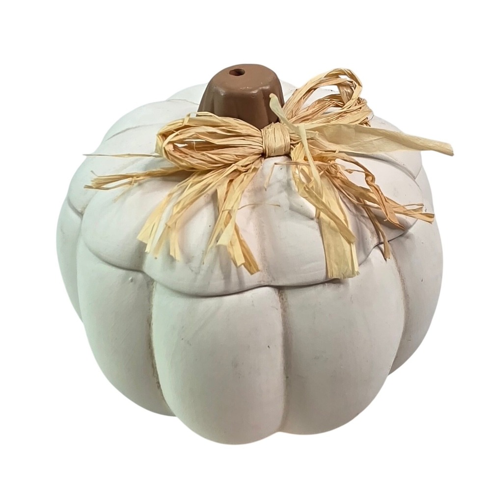 Pumpkin Hollow White Ceramic Pumpkin Jar with Raffia Bow Target 010 05 0605